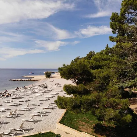 Luco Near The And Center Poreč